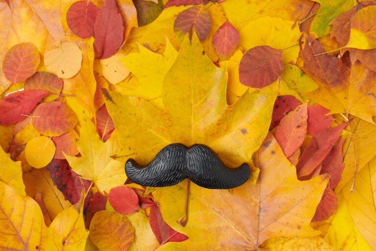 骨髄移植が必要な理由